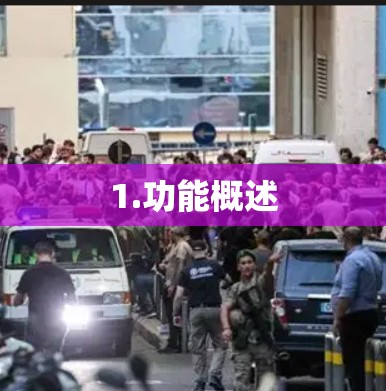 1.功能概述
