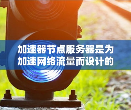 加速器节点服务器是为加速网络流量而设计的服务器，主要功能包括带宽扩展、带宽集中和带宽分配。以下是关于加速器节点服务器的详细信息