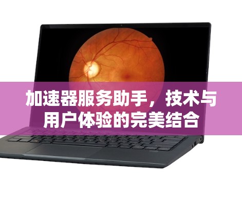 加速器服务助手，技术与用户体验的完美结合
