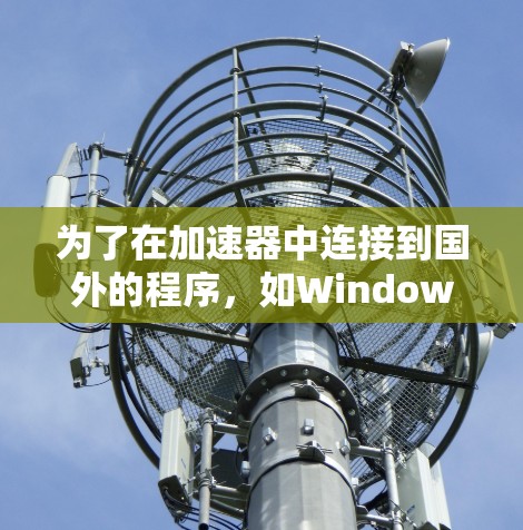 为了在加速器中连接到国外的程序，如Windows 1或macOS的软件，您可以按照以下步骤进行操作