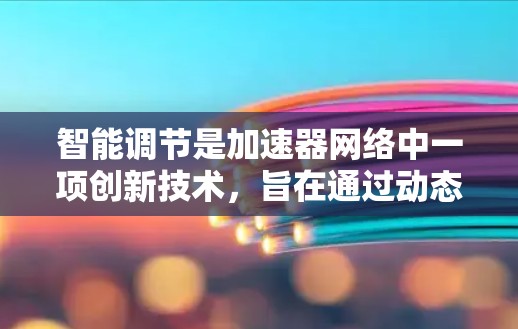 智能调节是加速器网络中一项创新技术，旨在通过动态调整流量分配以优化网络性能和用户体验。以下是关于智能调节的详细解释