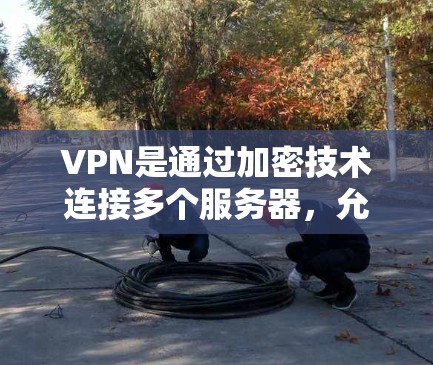 VPN是通过加密技术连接多个服务器,允许用户访问不同网站的网络服务。以下是详细的步骤指南 VPN是通过加密技术连接多个服务器,允许用户访问不同网站的网络服务。以下是详细的步骤指南