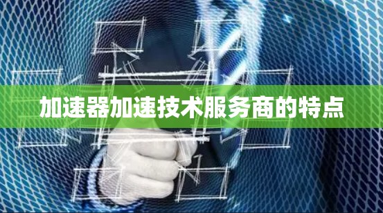 加速器加速技术服务商的特点