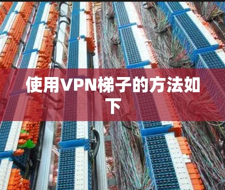 使用VPN梯子的方法如下 使用VPN梯子的方法如下