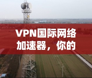 VPN国际网络加速器，你的技术选择，你的移动生活.toLowerCase？