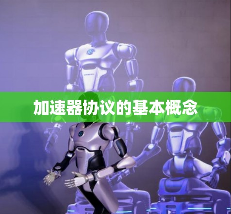 加速器协议的基本概念 加速器协议的基本概念