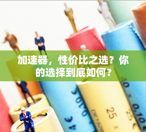 加速器，性价比之选？你的选择到底如何？