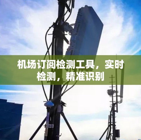 机场订阅检测工具，实时检测，精准识别