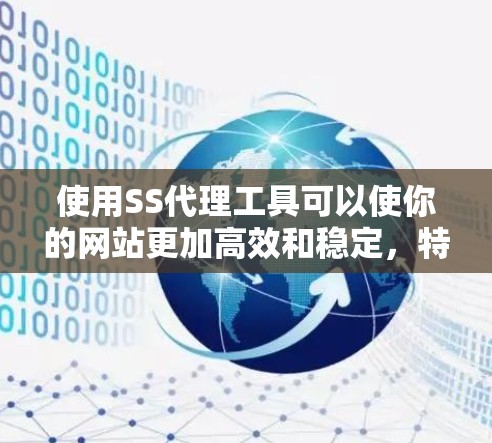 使用SS代理工具可以使你的网站更加高效和稳定，特别是在需要与外部服务器进行数据传输和协作时。以下是对SS代理工具的详细介绍和使用指南