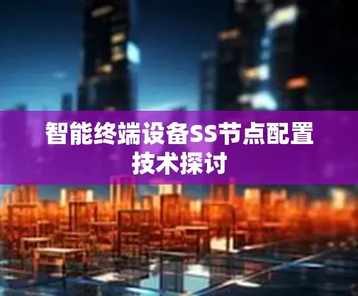 智能终端设备SS节点配置技术探讨 智能终端设备SS节点配置技术探讨
