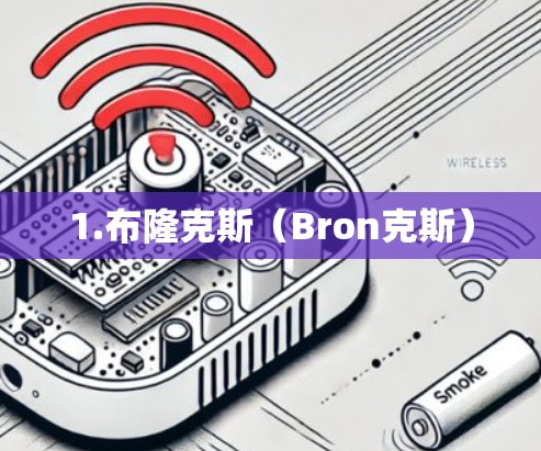 1.布隆克斯（Bron克斯）