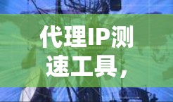 代理IP测速工具，提升网络性能的高效解决方案