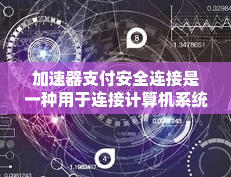 加速器支付安全连接是一种用于连接计算机系统和第三方支付平台的接口，旨在确保支付过程的安全性。以下是对该连接的详细说明