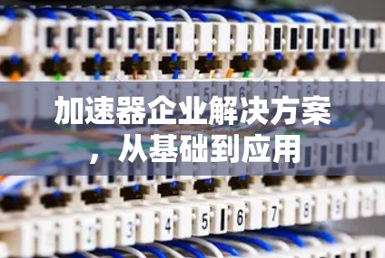 加速器企业解决方案，从基础到应用