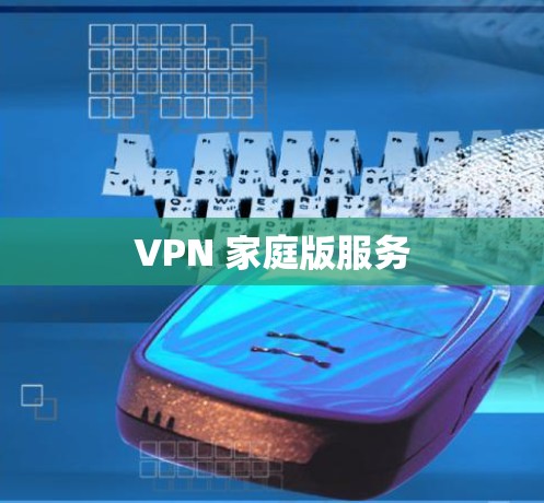 VPN 家庭版服务 VPN 家庭版服务