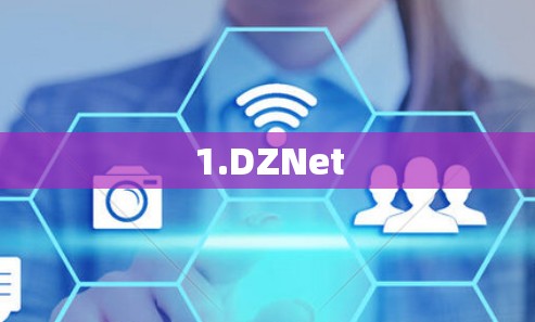 1.DZNet