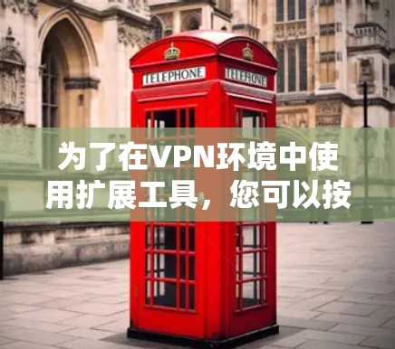 为了在VPN环境中使用扩展工具，您可以按照以下步骤操作