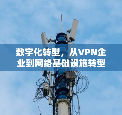 数字化转型,从VPN企业到网络基础设施转型的路径 数字化转型,从VPN企业到网络基础设施转型的路径