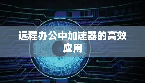 远程办公中加速器的高效应用