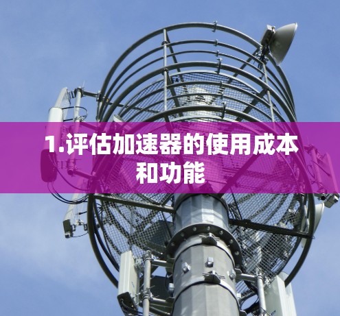 1.评估加速器的使用成本和功能