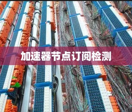 加速器节点订阅检测