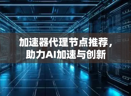 加速器代理节点推荐，助力AI加速与创新