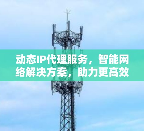 动态IP代理服务，智能网络解决方案，助力更高效、更安全的网络连接