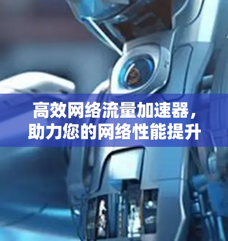 高效网络流量加速器，助力您的网络性能提升