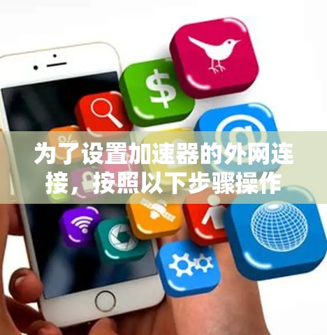 为了设置加速器的外网连接，按照以下步骤操作