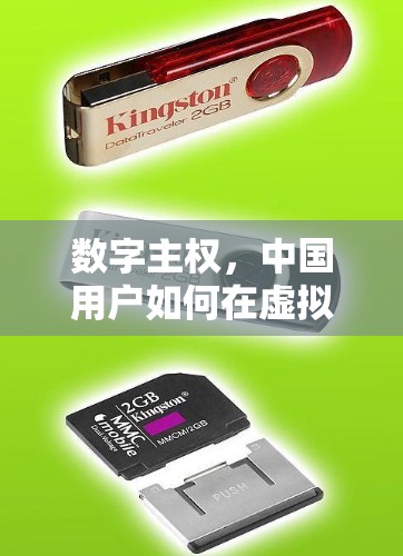 数字主权，中国用户如何在虚拟现实和虚拟现实中享受跨国连接