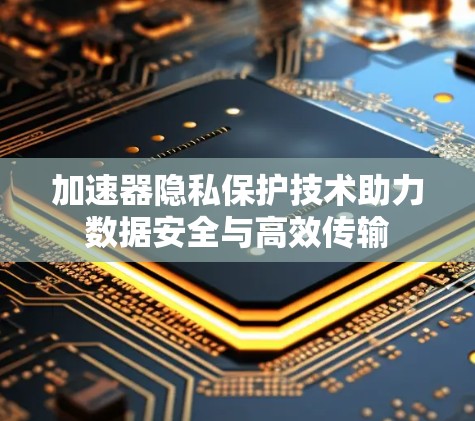 加速器隐私保护技术助力数据安全与高效传输
